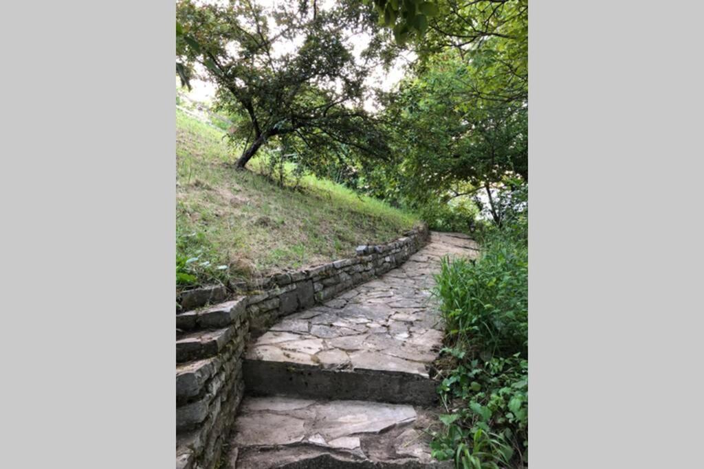 Villa Kornelija Stari Slankamen المظهر الخارجي الصورة