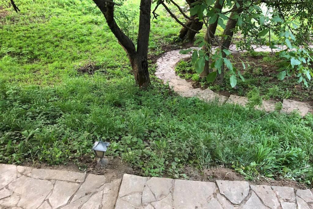 Villa Kornelija Stari Slankamen المظهر الخارجي الصورة