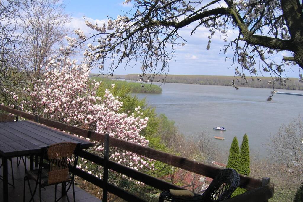 Villa Kornelija Stari Slankamen المظهر الخارجي الصورة