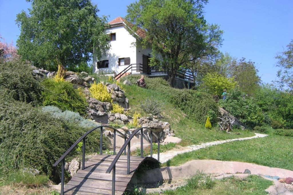 Villa Kornelija Stari Slankamen المظهر الخارجي الصورة