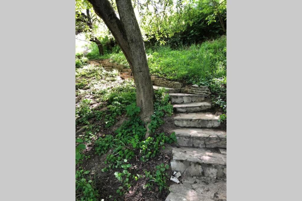 Villa Kornelija Stari Slankamen المظهر الخارجي الصورة