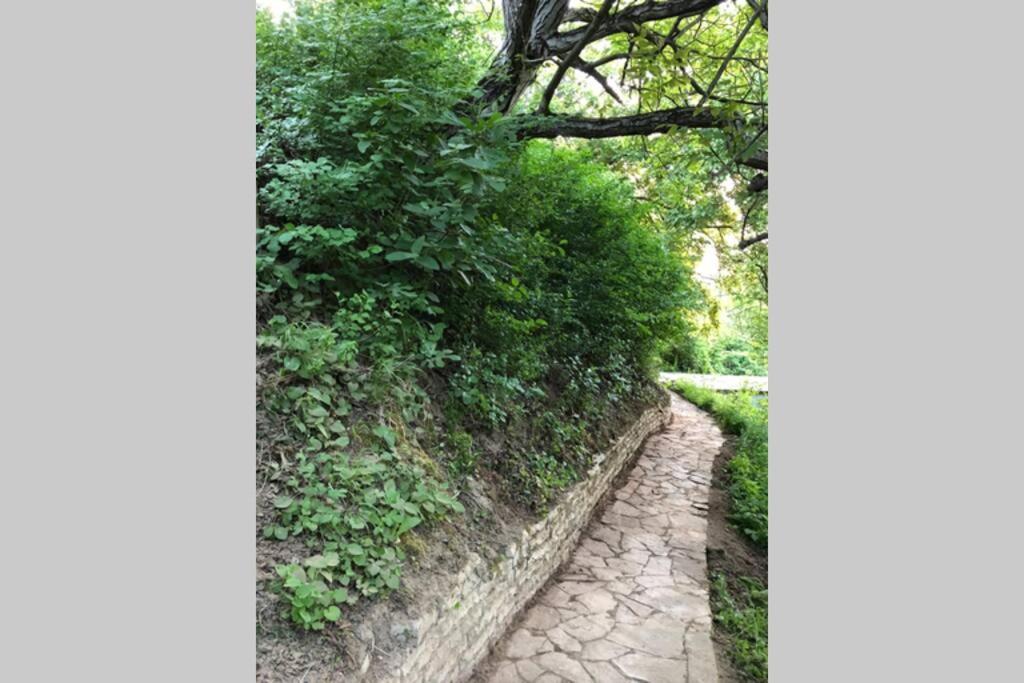 Villa Kornelija Stari Slankamen المظهر الخارجي الصورة