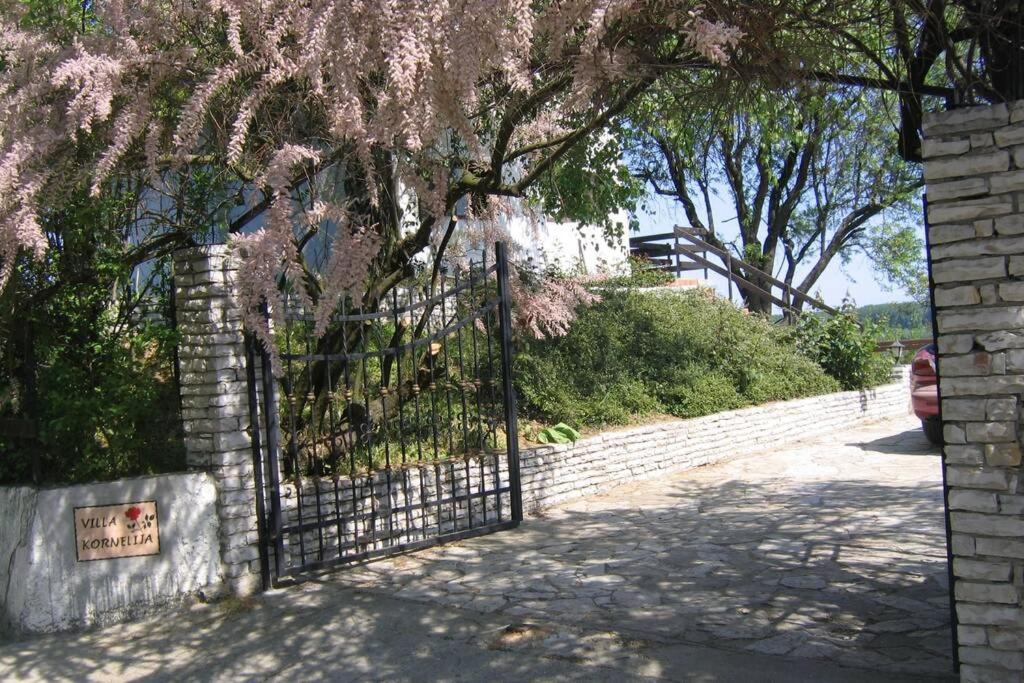 Villa Kornelija Stari Slankamen المظهر الخارجي الصورة