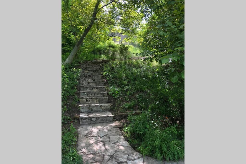 Villa Kornelija Stari Slankamen المظهر الخارجي الصورة