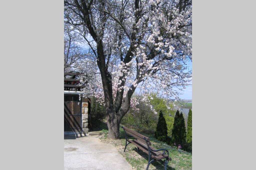 Villa Kornelija Stari Slankamen المظهر الخارجي الصورة
